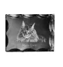 Maine Coon ramka kryształowa z kotem Art-Dog