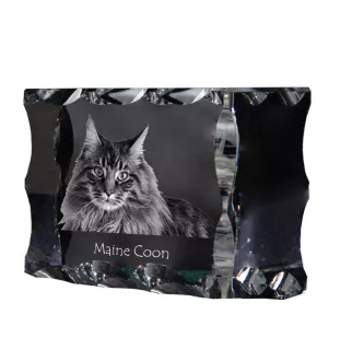 Maine Coon - crystal with a cat picture, glass statuette with a picture, unique frame with a picture from Art-Dog brand