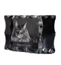 Maine Coon - crystal with a cat picture, glass statuette with a picture, unique frame with a picture from Art-Dog brand