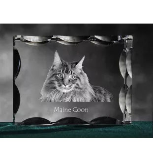 Maine Coon - Kristall mit Katzenbild, Glasstatuette mit Bild, einzigartiger Bilderrahmen der Marke Art-Dog