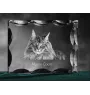 Maine Coon - Kristall mit Katzenbild, Glasstatuette mit Bild, einzigartiger Bilderrahmen der Marke Art-Dog