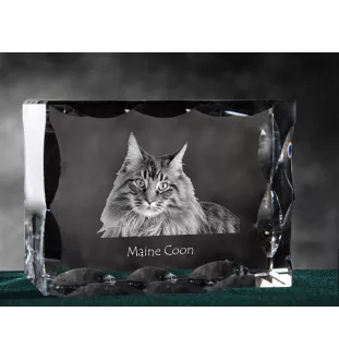 Maine Coon - crystal with a cat picture, glass statuette with a picture, unique frame with a picture from Art-Dog brand