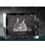 Maine Coon ramka kryształowa z kotem Art-Dog