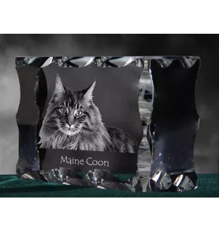 Maine Coon - cristal avec une photo de chat, une statuette en verre avec une photo, un cadre exceptionnel avec une photo de la marque Art-Dog