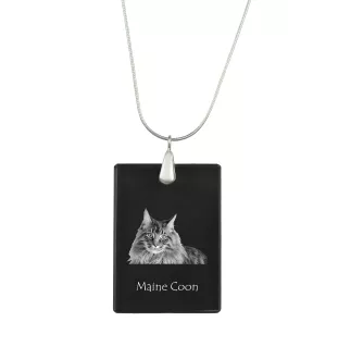 Maine Coon - Crystal pendant with cat, silver necklace with photo, personalised pendant by Art-Dog brand