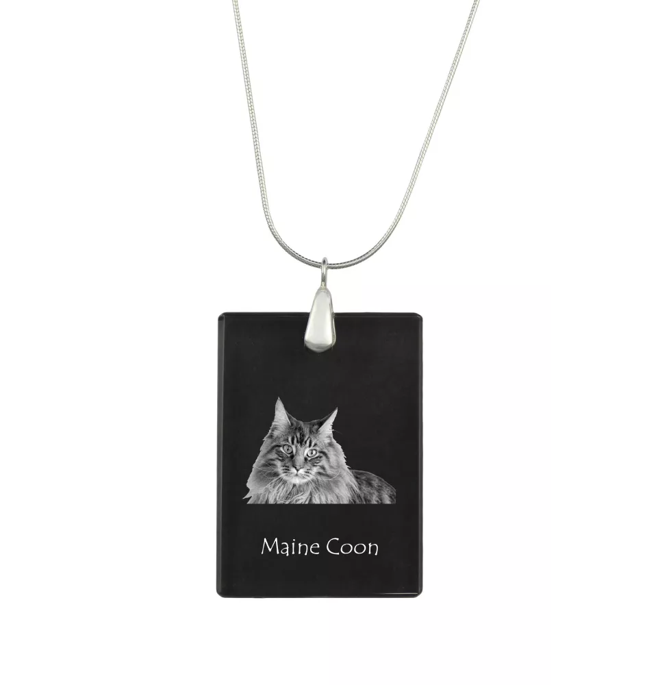 Maine Coon - Crystal pendant with cat, silver necklace with photo, personalised pendant by Art-Dog brand