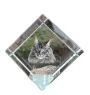 Maine Coon - crystal cube with a picture of a cat, crystal with a picture of a horse, cubic paperweight by Art-Dog brand