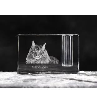 Maine Coon - Pen stand, crystal organiser with cat photo, unique desk decoration by Art-Dog brand