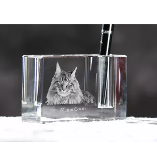 Maine Coon - Pen stand, crystal organiser with cat photo, unique desk decoration by Art-Dog brand