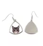 Maine Coon - elegant metal earrings as a gift from the Art-Dog brand