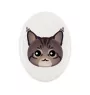 Maine Coon - une plaque funéraire en céramique avec une illustration et un texte de la marque Art-Dog