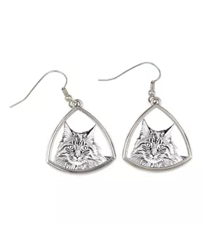 Maine Coon - boucles d'oreilles avec un chat, boucles d'oreilles pendantes avec une image, bijoux personnalisés avec l'impression de la marque Art-Dog