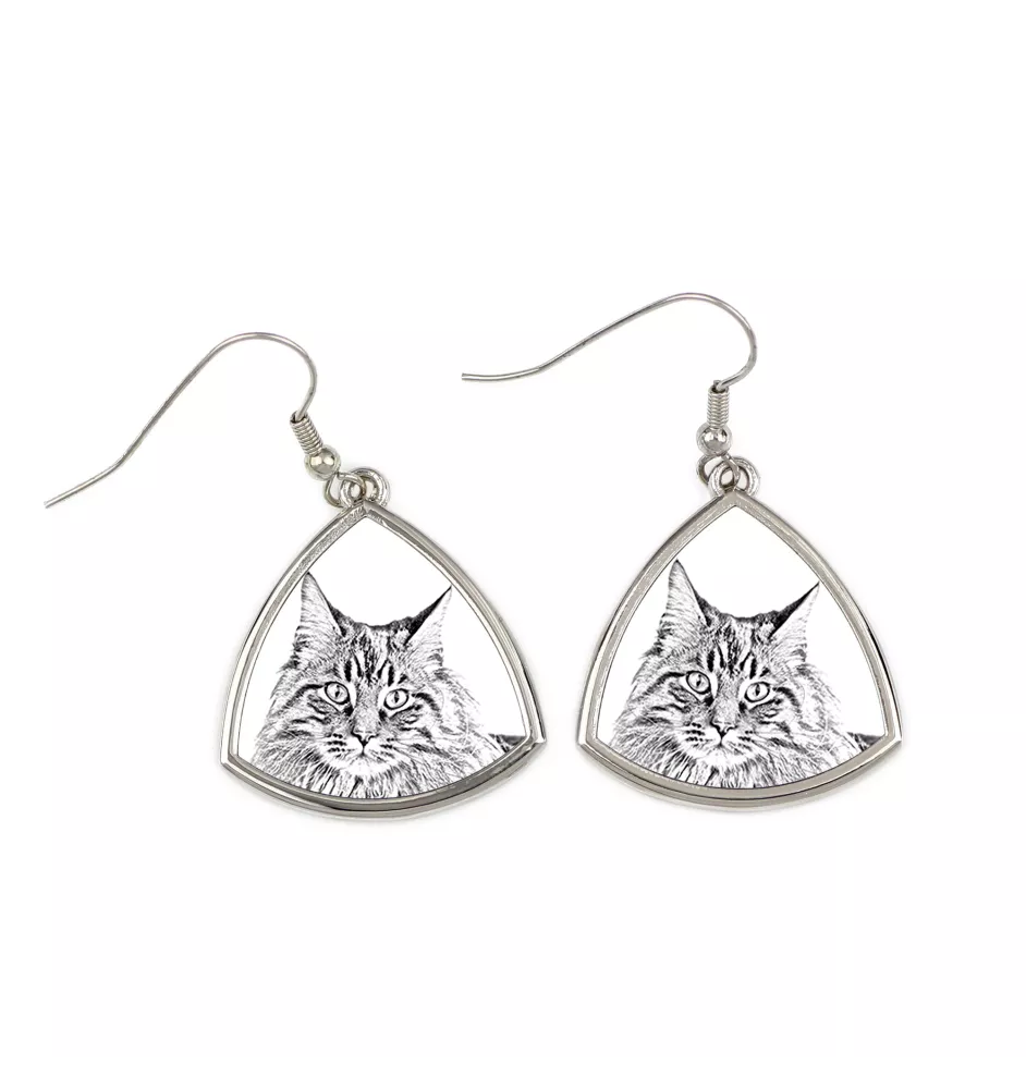 Maine Coon - boucles d'oreilles avec un chat, boucles d'oreilles pendantes avec une image, bijoux personnalisés avec l'impression de la marque Art-Dog