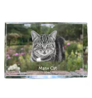 Manx-Katze - Kristall mit einem Katzenbild, Bild im Glas, moderne Ausstellung des Art-Dog-Fotos.
