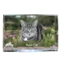 Manx Cat - crystal with a picture of a cat, photo in glass, modern exhibition of Art-Dog brand photo