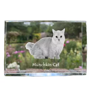 Kot Munchkin kryształ z kotem Art-Dog