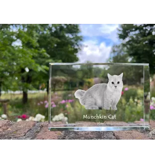 Chat Munchkin - cristal avec une photo de chat, photo sous verre, exposition moderne de la marque de photos Art-Dog