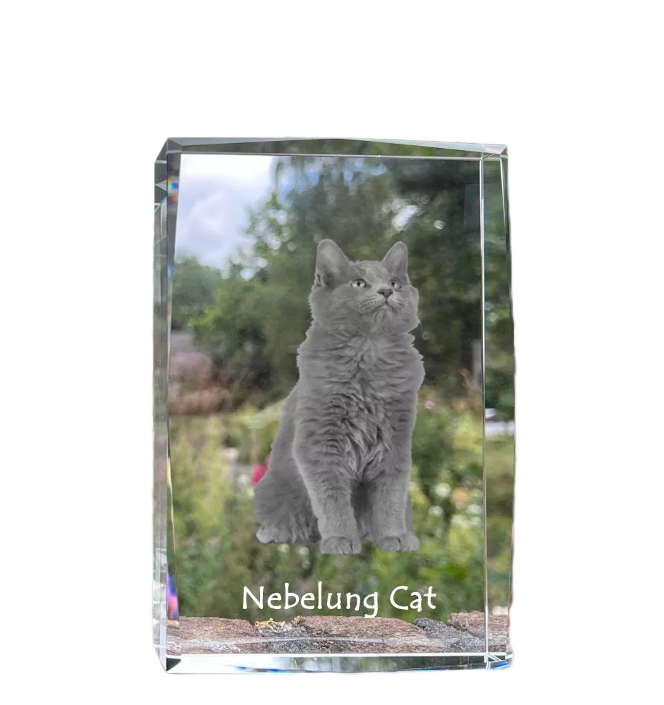 Nebelung Katze - Kristall mit einem Katzenbild, Bild im Glas, moderne Ausstellung des Art-Dog-Fotos.