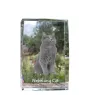 Nebelung Cat - crystal with a picture of a cat, photo in glass, modern exhibition of Art-Dog brand photo