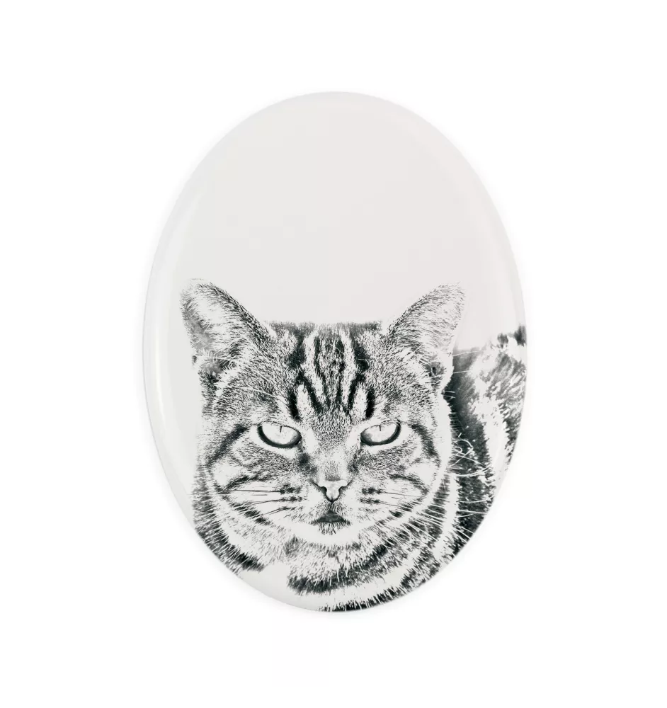 Chat Manx - une plaque commémorative avec une photo de chat, une plaque funéraire avec une impression, une plaque ovale personnalisée de la marque Art-Dog