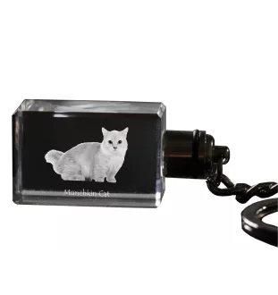 Munchkin Katze - Kristall-Anhänger mit Katzenfoto, beleuchteter Anhänger, einzigartiges Geschenk der Marke Art-Dog