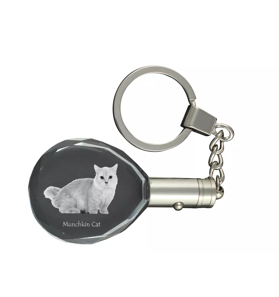 Chat Munchkin - Fob with cat photo, crystal key ring in gift box, unique gift by Art-Dog brand