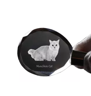 Kot Munchkin brelok do kluczy kryształowy z kotem Art-Dog