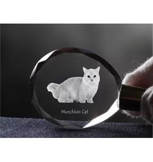 Chat Munchkin - Fob with cat photo, crystal key ring in gift box, unique gift by Art-Dog brand
