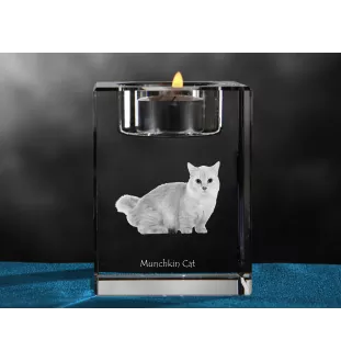 Munchkin - Candle holder with cat photo, crystal tealight holder, personalised gift by Art-Dog brand