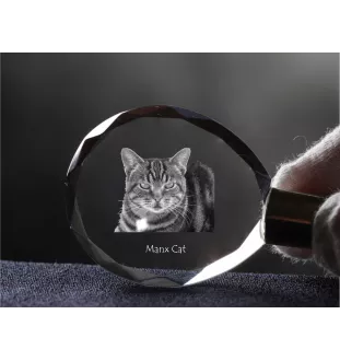 Manx Cat - Fob with cat photo, crystal key ring in gift box, unique gift by Art-Dog brand