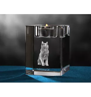 Nebelung - Kerzenhalter mit Katzenfoto, Teelichthalter aus Kristall, personalisiertes Geschenk der Marke Art-Dog