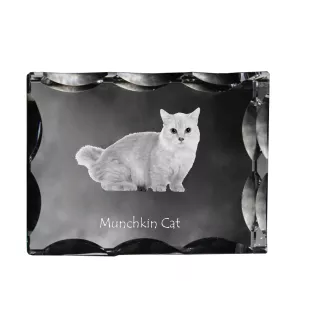 Munchkin Katze - Kristall mit Katzenbild, Glasstatuette mit Bild, einzigartiger Bilderrahmen der Marke Art-Dog