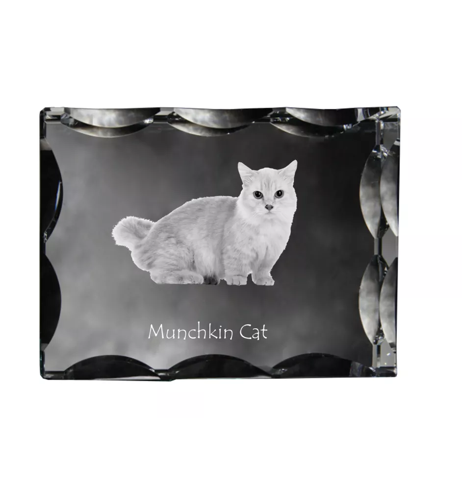 Munchkin Katze - Kristall mit Katzenbild, Glasstatuette mit Bild, einzigartiger Bilderrahmen der Marke Art-Dog