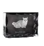 Munchkin Cat - crystal with a cat picture, glass statuette with a picture, unique frame with a picture from Art-Dog brand