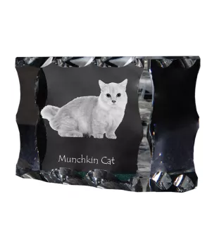 Munchkin Cat - crystal with a cat picture, glass statuette with a picture, unique frame with a picture from Art-Dog brand