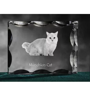 Munchkin Cat - crystal with a cat picture, glass statuette with a picture, unique frame with a picture from Art-Dog brand