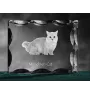 Munchkin Katze - Kristall mit Katzenbild, Glasstatuette mit Bild, einzigartiger Bilderrahmen der Marke Art-Dog