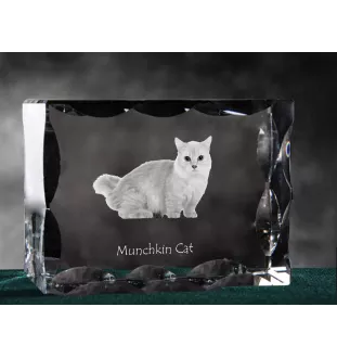 Munchkin Cat - crystal with a cat picture, glass statuette with a picture, unique frame with a picture from Art-Dog brand