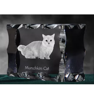 Munchkin Cat - crystal with a cat picture, glass statuette with a picture, unique frame with a picture from Art-Dog brand