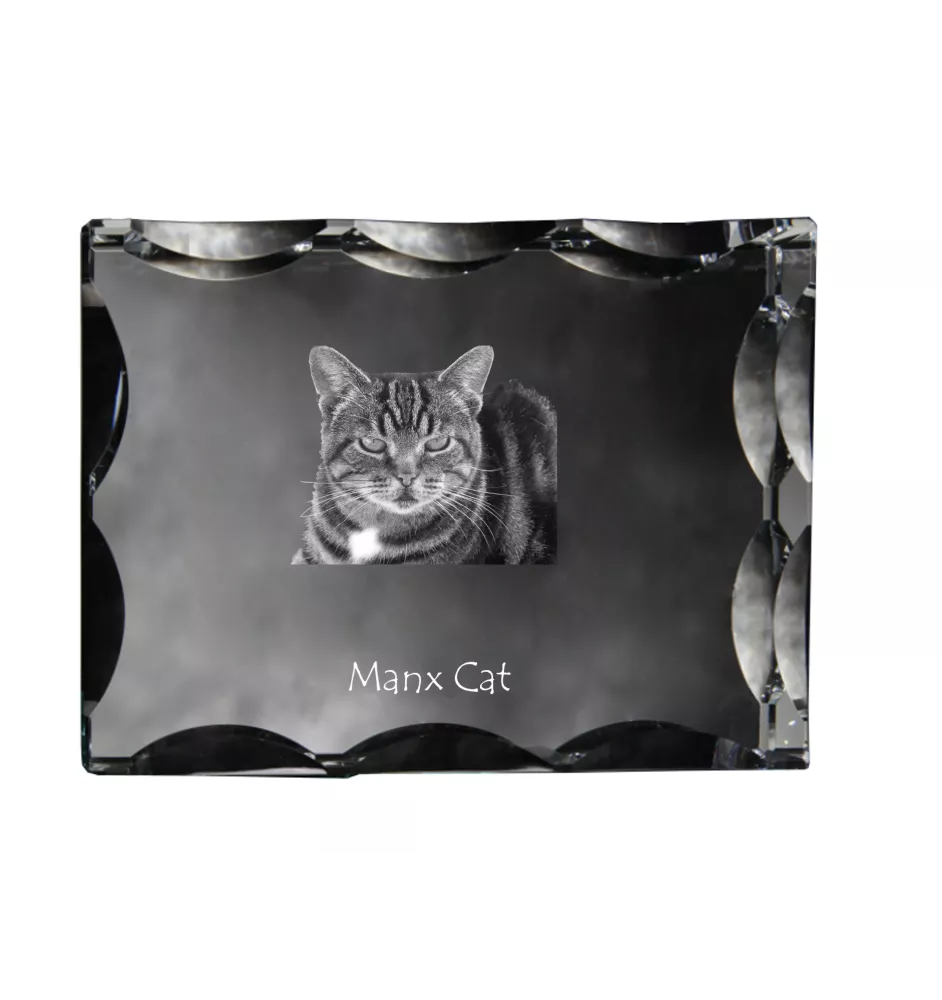 Manx-Katze - Kristall mit Katzenbild, Glasstatuette mit Bild, einzigartiger Bilderrahmen der Marke Art-Dog