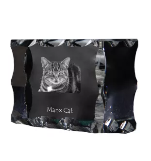 Chat Manx - cristal avec une photo de chat, une statuette en verre avec une photo, un cadre exceptionnel avec une photo de la marque Art-Dog