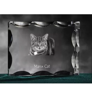 Manx Cat - crystal with a cat picture, glass statuette with a picture, unique frame with a picture from Art-Dog brand