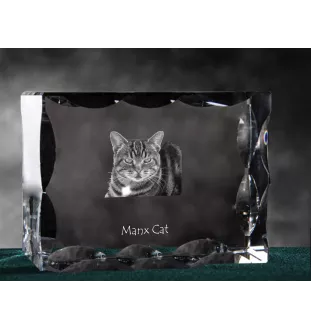 Chat Manx - cristal avec une photo de chat, une statuette en verre avec une photo, un cadre exceptionnel avec une photo de la marque Art-Dog