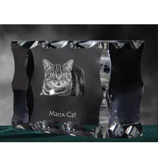 Manx-Katze - Kristall mit Katzenbild, Glasstatuette mit Bild, einzigartiger Bilderrahmen der Marke Art-Dog