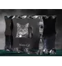 Manx-Katze - Kristall mit Katzenbild, Glasstatuette mit Bild, einzigartiger Bilderrahmen der Marke Art-Dog