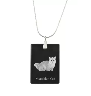 Chat Munchkin - Crystal pendant with cat, silver necklace with photo, personalised pendant by Art-Dog brand
