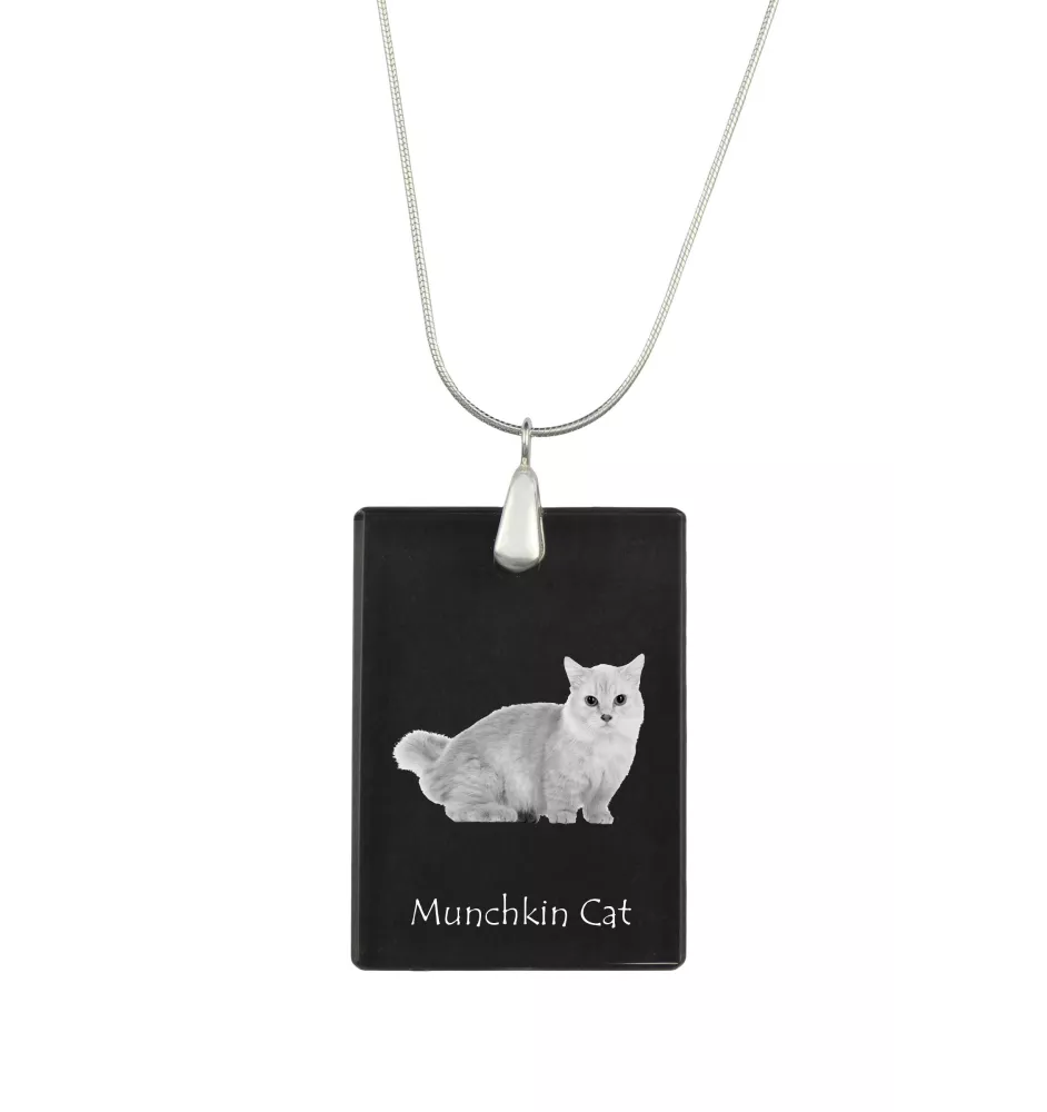 Chat Munchkin - Crystal pendant with cat, silver necklace with photo, personalised pendant by Art-Dog brand