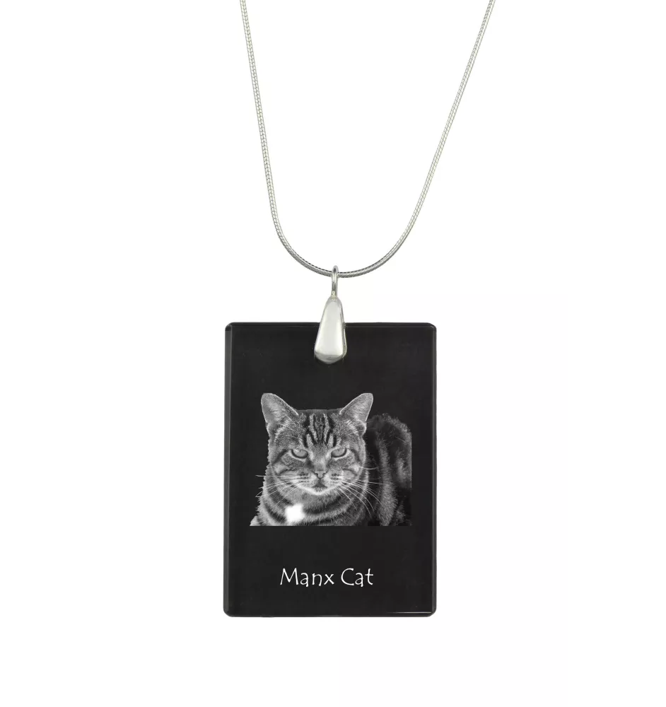 Manx-Katze - Crystal pendant with cat, silver necklace with photo, personalised pendant by Art-Dog brand