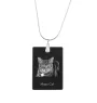 Manx Cat - Crystal pendant with cat, silver necklace with photo, personalised pendant by Art-Dog brand