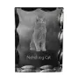 Nebelung Cat - crystal with a cat picture, glass statuette with a picture, unique frame with a picture from Art-Dog brand